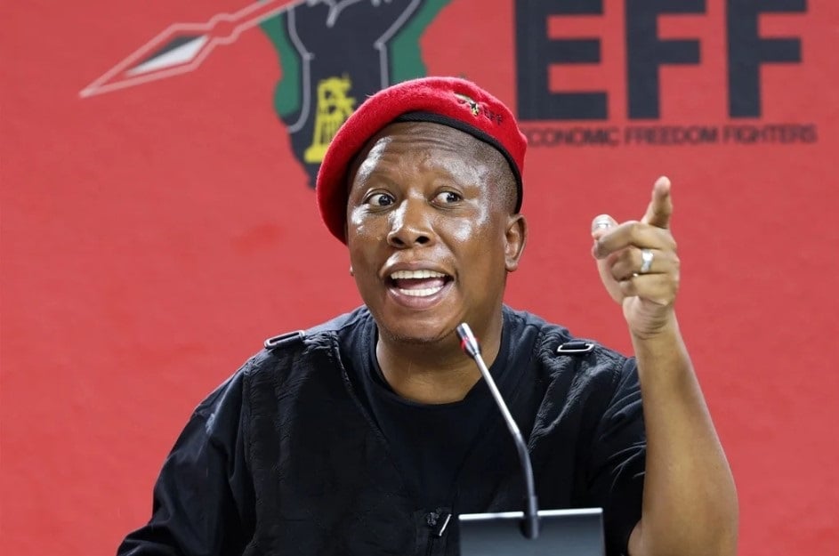 Julius Malema said the allegations were manufactured and misplaced.  Photo by Gallo Images