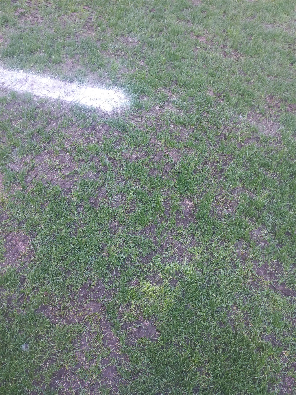Cape Town Stadium pitch.