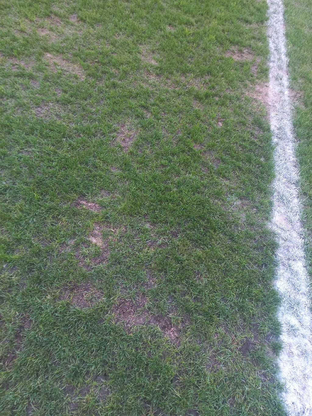 Cape Town Stadium pitch.