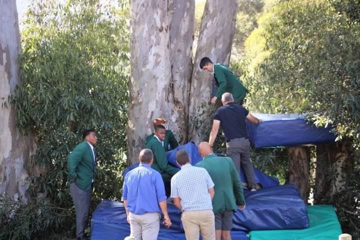News24.com | WATCH | Hermanus pupils give stranded paraglider a safe landing with high jump mattresses