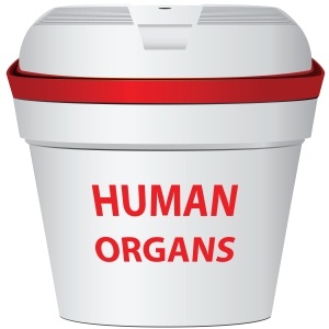 Organ donation from Shutterstock