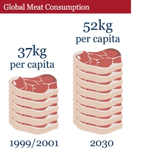 People are eating more meat, with serious consequences for the planet. Graphic: UNESCO.