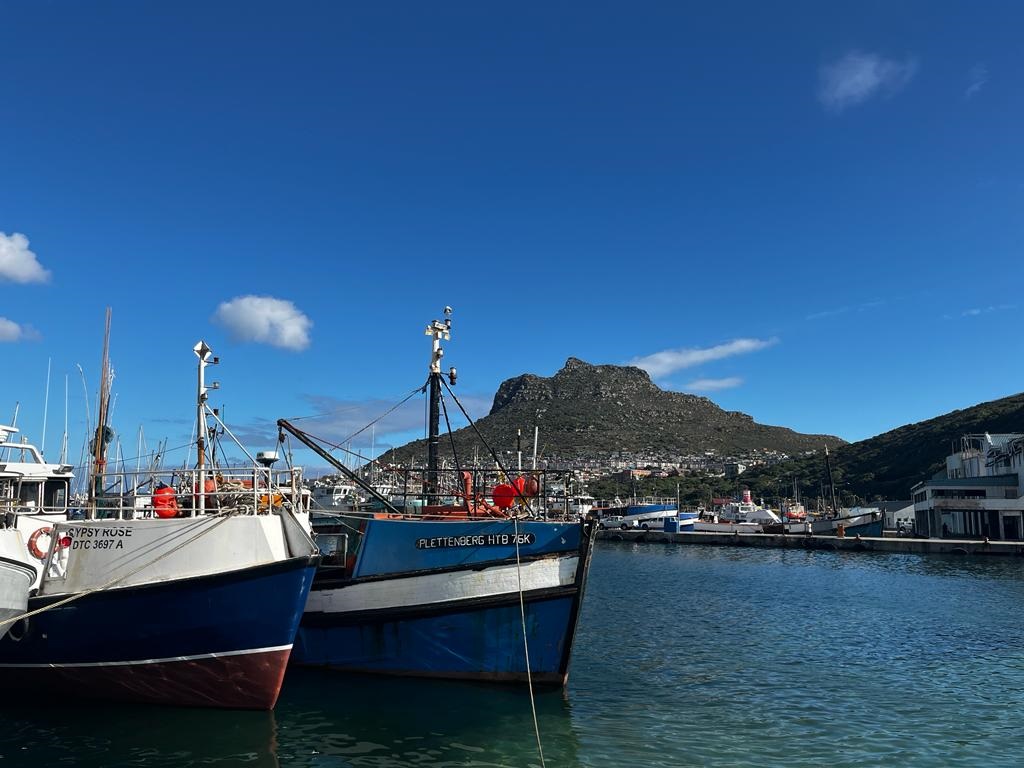 Residents of Hangberg and Imizamo Yethu have said that little transformation has occured at the harbour to benefit local, black-owned businesses and small-scale fishermen. 