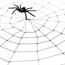 Spider toxin the future of anti-venom vaccines