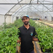 From the sky to the ground: Michael Brooks on his aquaponics farming journey 