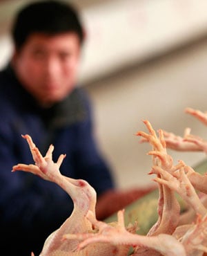 Poultry is displayed in a market in Huaibei, central China's Anhui province. (STR, AFP)