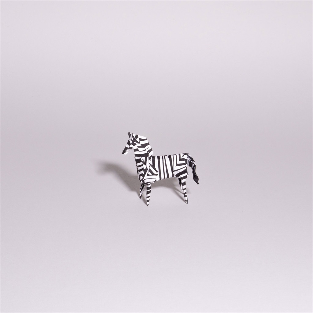 Investec zebra par White sur Rice / Ross Symons.  Je vais