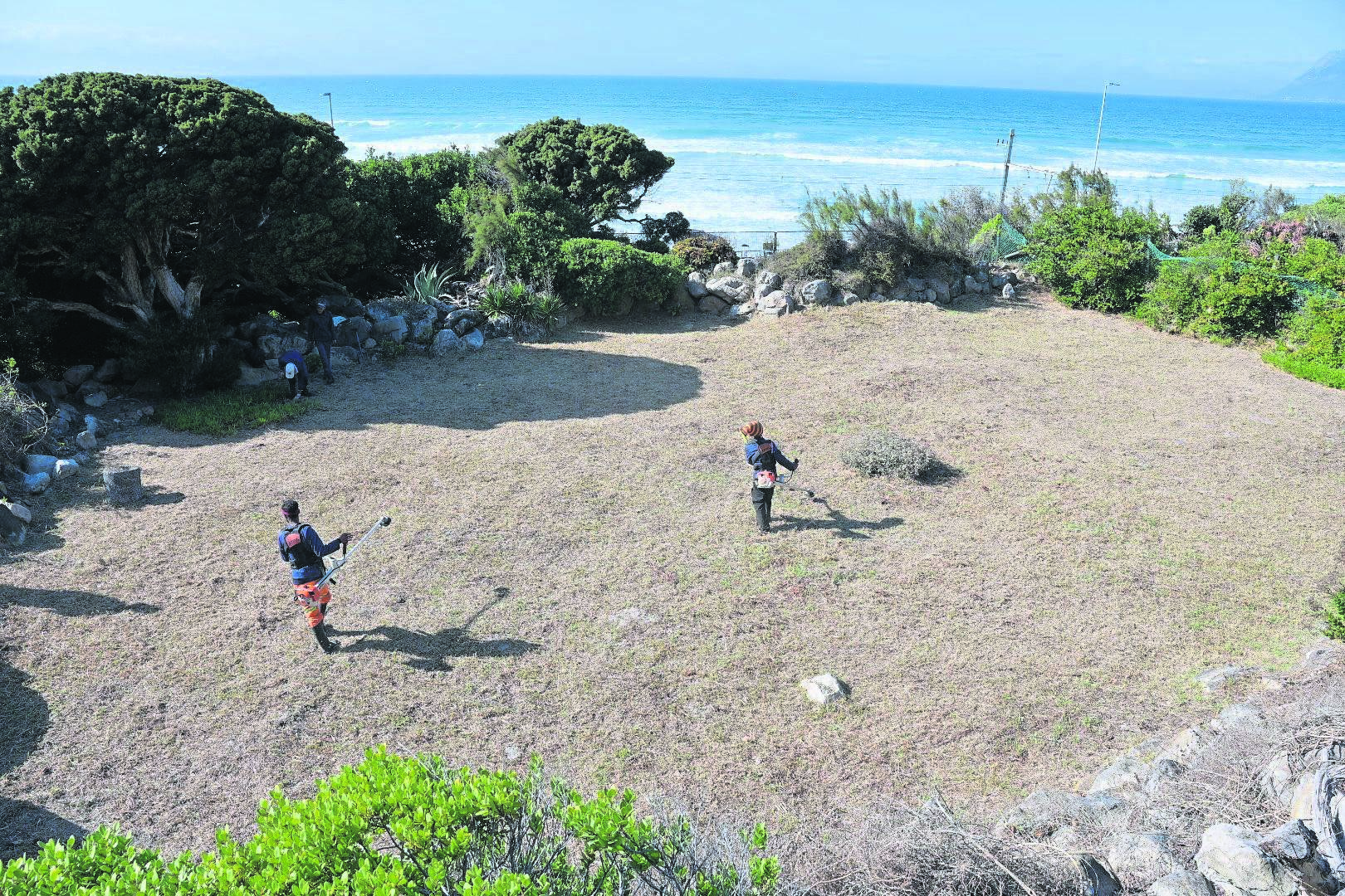 Invasive alien vegetation was cleared from the historical Battle of Muizenberg site. PHOTO: supplied