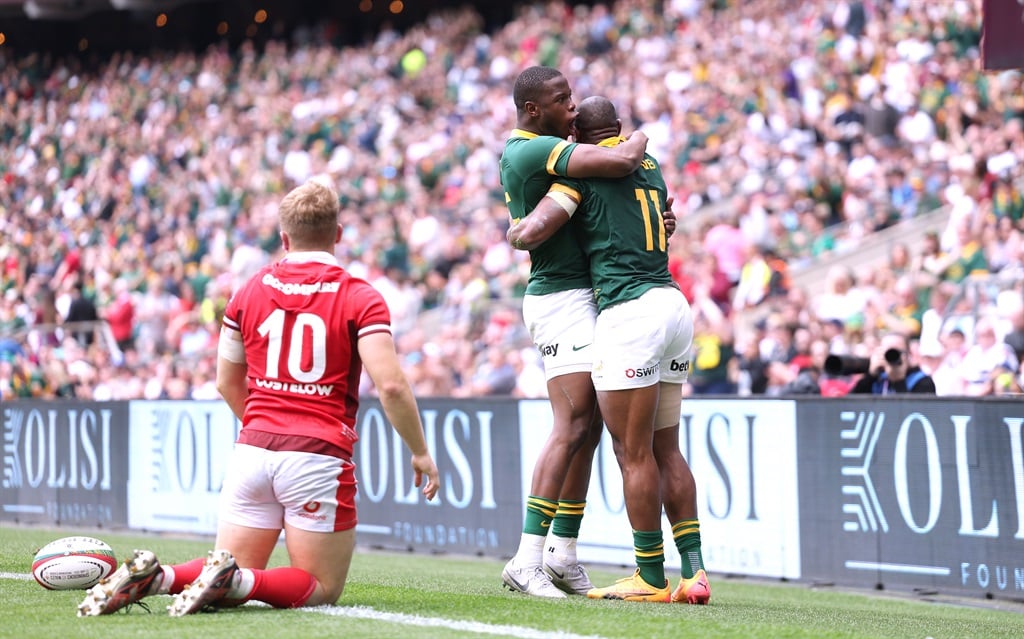 News24 | Springbok debutants and flawless Fassi give Rassie plenty to think about with Welsh drubbing