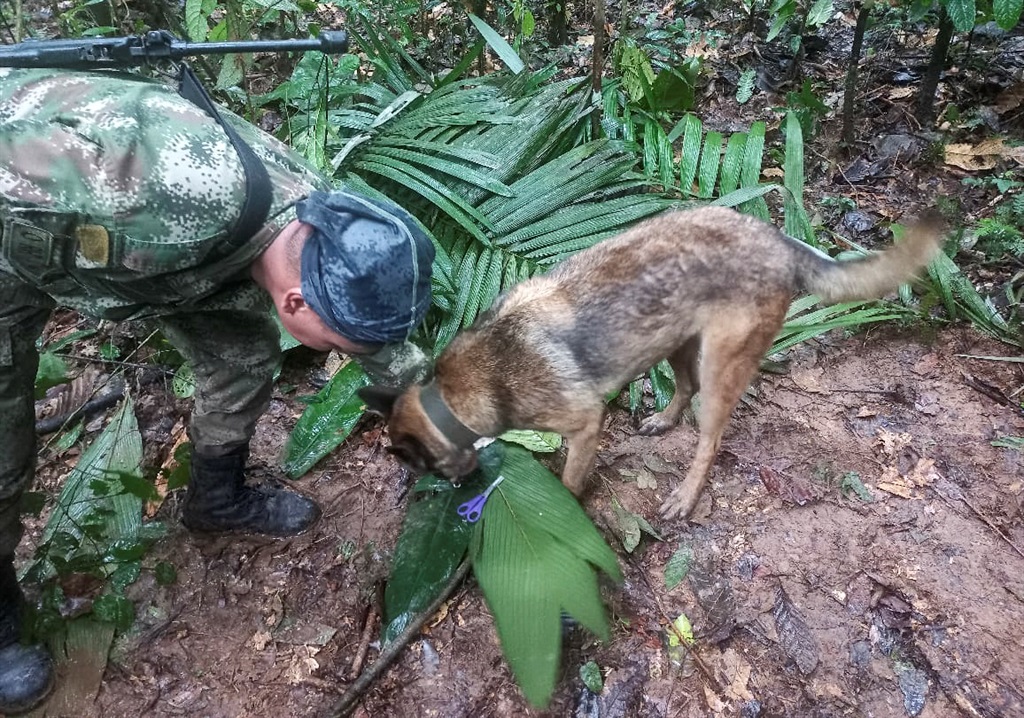 More than 100 soldiers with sniffer dogs are following the "trail" of four missing children in the Colombian Amazon after a small plane crash that killed three adults, the military said Wednesday.