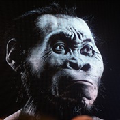 New study may cast doubt over whether humankind originated in South Africa