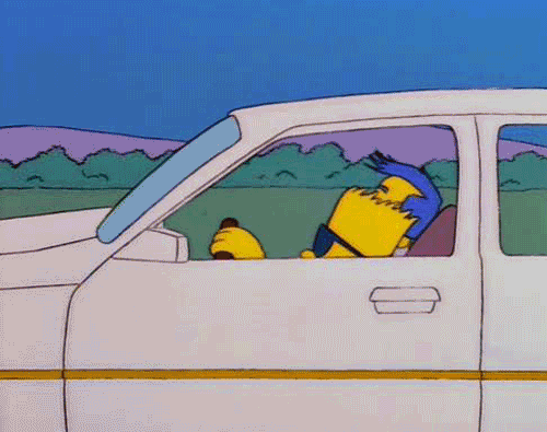 simpsons cruise control gif