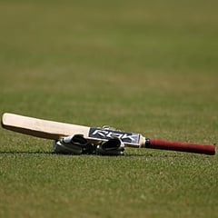 Cricket bat (File)