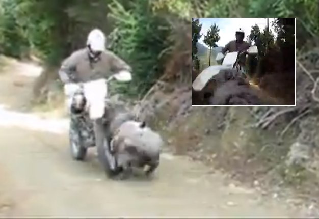 <b>WHAM, BAM, THANK YOU RAM!</b> It’s one thing to be charged by an angy sheep but quite another to video the attack from the animal’s perspective. Well done to Nelson Bomber for a ram-tastic video! <i>Image: YouTube</i>