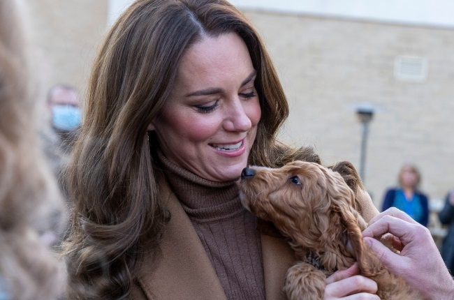 The Duchess of Cambridge with Alfie, a therapy dog, during her and Prince William's visit to a community hospital in Lancashire. (PHOTO: i-Images Picture Agency/magazinefeatures.co.za)