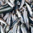 Source of mercury in ocean fish discovered