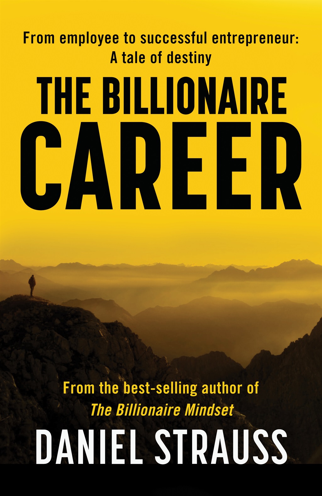 The Billionaire Career by Daniel Strauss. (Tafelberg)