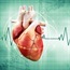 Anatomy of a heart beat