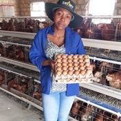 'Eggsellent': Mpumalanga woman thrives in farming business that began as a hobby