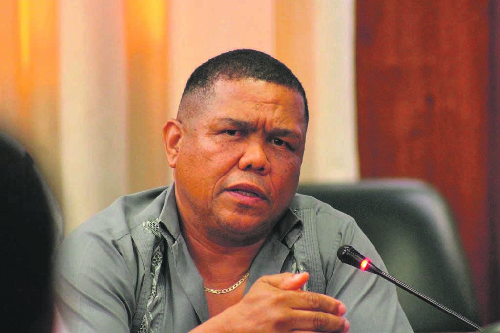Dirks’ big sin was that he wrote to the chairperson of the select committee on public accounts (Scopa). Photo: Supplied