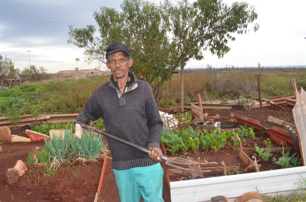 Madala Isaac Lukhele has been running a food garden for the past seven years. Photo by Happy Mnguni