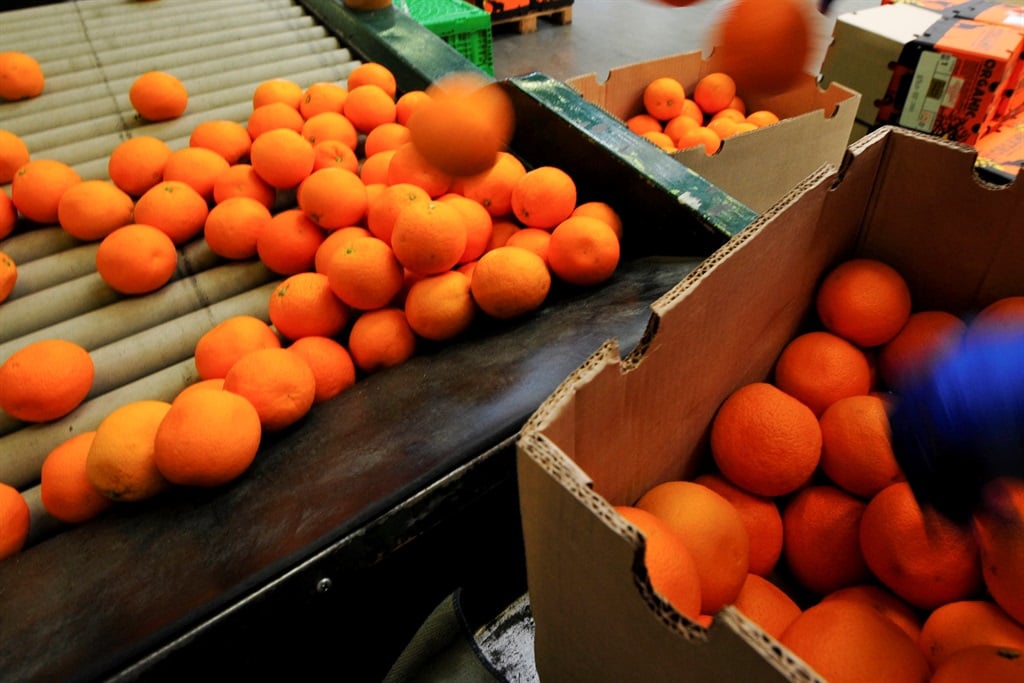 the logistics and packaging of orange fruits in a 