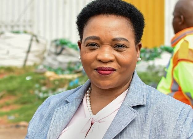 KwaZulu-Natal ANC Women's League backs Nomusa Ncube-Dube to take over as chairperson - News24