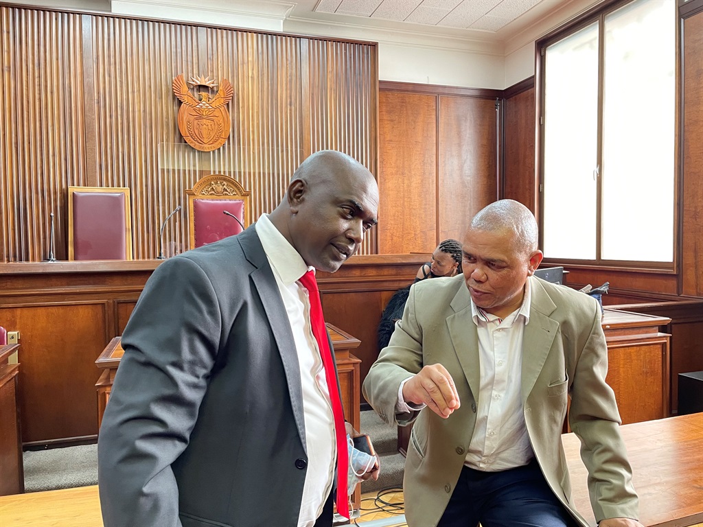 ANC MP Mervyn Dirks in court to get suspension lifted after his call on Scopa to probe Ramaphosa - News24