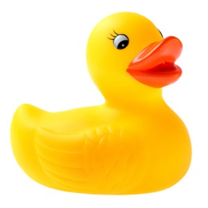 Some toys such as vinyl rubber ducks contain phthalates.