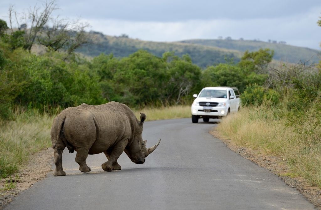 Rhino spotted at Hluhluwe-iMfolozi National Park.