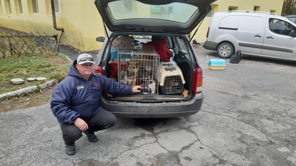Marc Ward relocalise des chiens sauvés d'un refuge à Borodianka, qui a été abandonné après avoir été occupé par les forces russes.