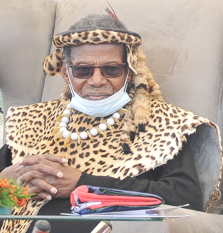 Prince Mangosuthu Buthelezi Hospitalised Daily Sun