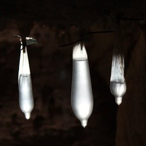 Condoms used to collect water dripping off a stalactite