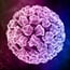 Partial HPV vaccination may not stop cervical cancer