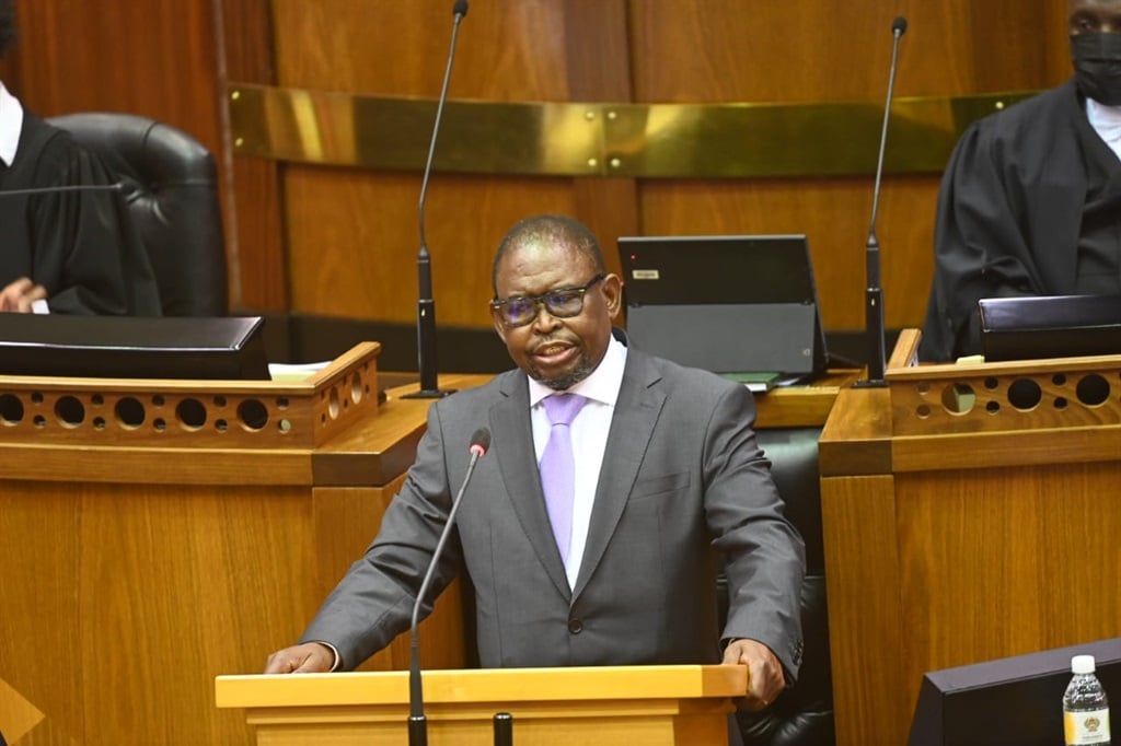 Finance minister, Enoch Godongwana, giving his maiden Medium Term Budget Policy Statement (Image: Jaco Marais)