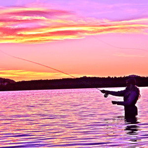 Confessions of a lady angler