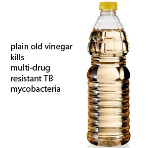 Vinegar kills tb bacteria