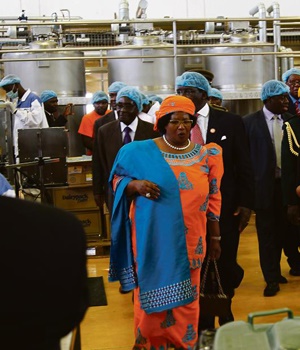 Zimbabwe’s First Lady Grace Mugabe (right) takes then Malawian president Joyce Banda on a tour of the Gushungo dairy plant in 2013.