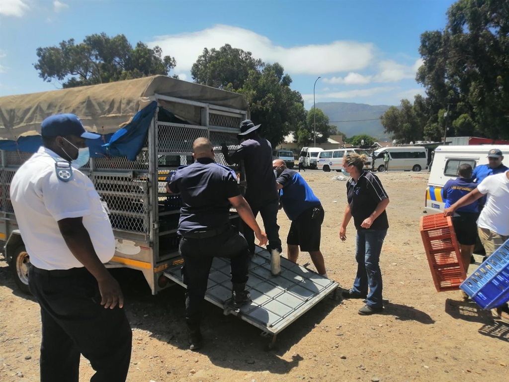 Cape Town law enforcement officials together with the Cape of Good Hope SPCA confiscated 142 live chickens from illegal hawkers in Masiphumelele informal settlement on Friday afternoon. 

