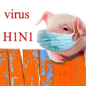 Swine flu - H1N1 is coming