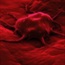 New test detects pancreatic cancer much earlier