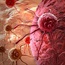 Father's age at birth affects women's cancer risk