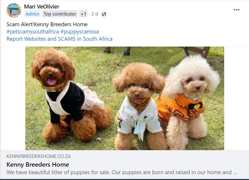 Screenshot of a Facebook post on the Puppy SCAMS i