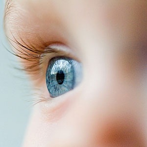 Beautiful baby eyes from Shutterstock.
