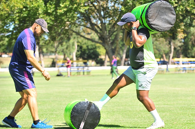 News24.com | Big Bok coach succession hint as SA Rugby confirms new long-term deals for Stick, Davids