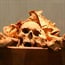 US museum rediscovers ancient skeleton