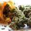 Medical marijuana reduces epileptic seizures