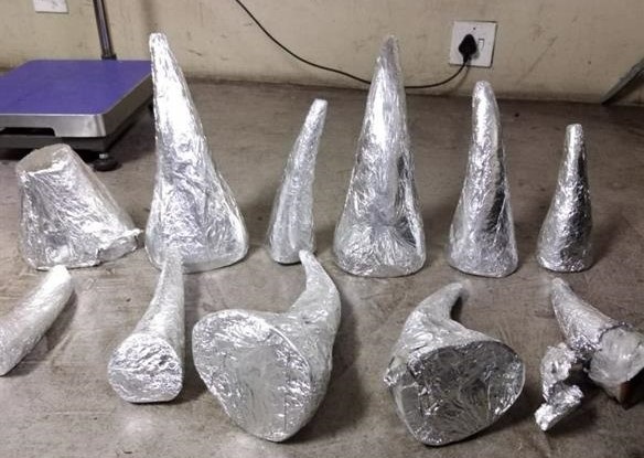 Officials at OR Tambo International Airport found 11 rhino horns in a passenger's luggage.
