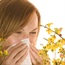 Allergies increase migraine frequency