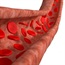 Hypertension and your blood vessels
